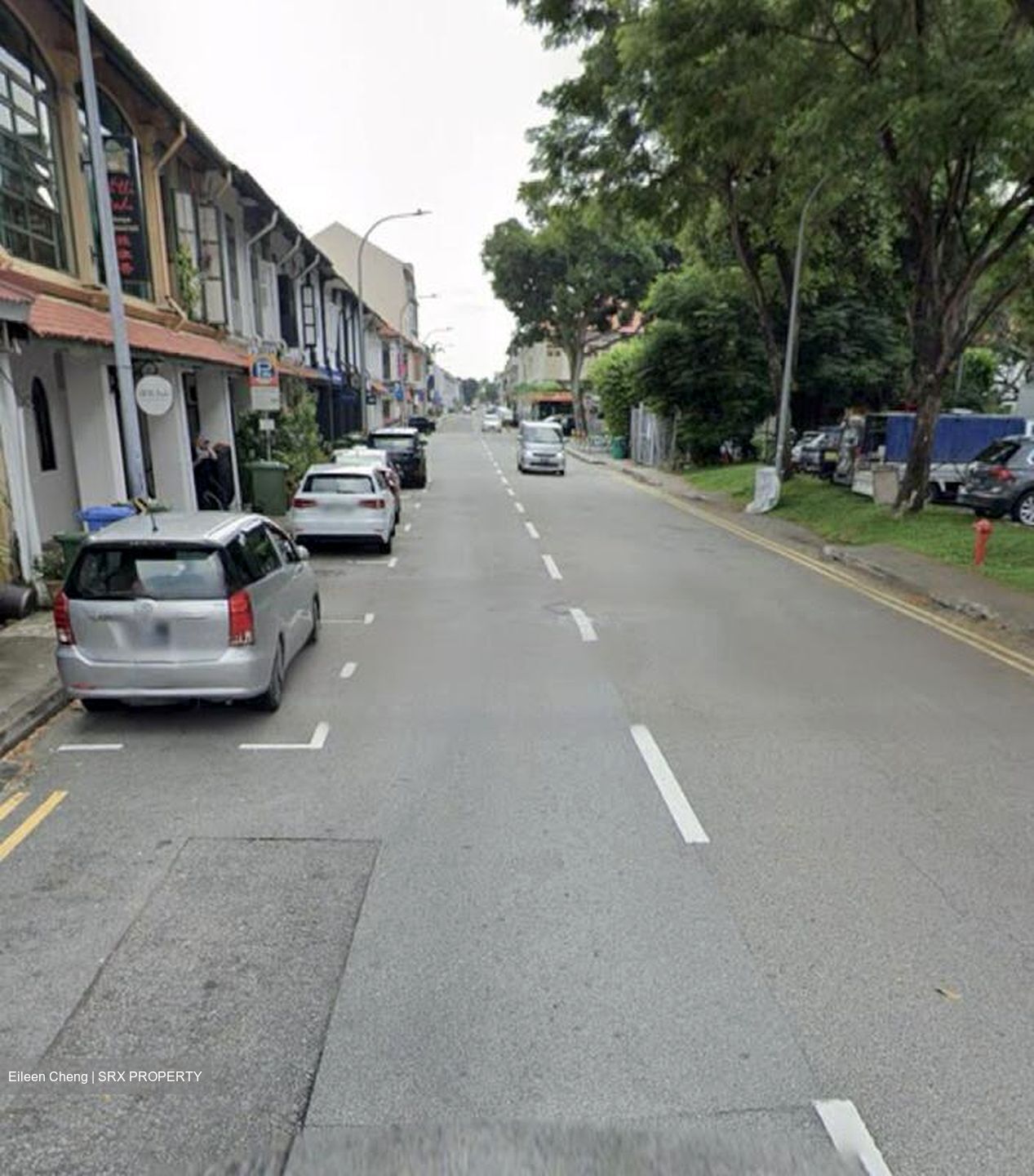 Joo Chiat Road (D15), Shop House #454165281